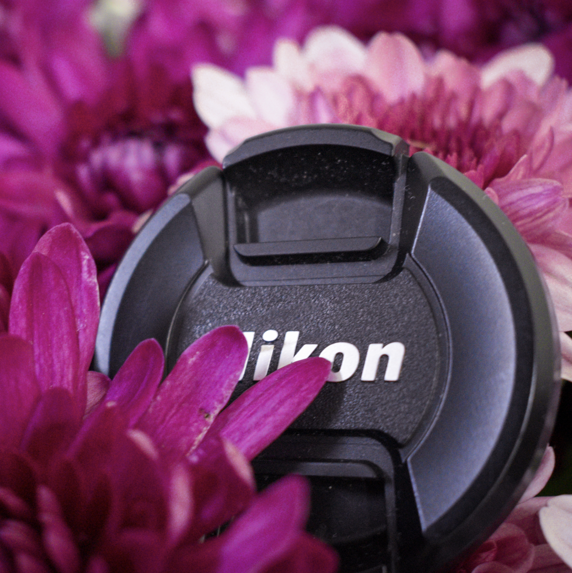 The Foap Show example photo