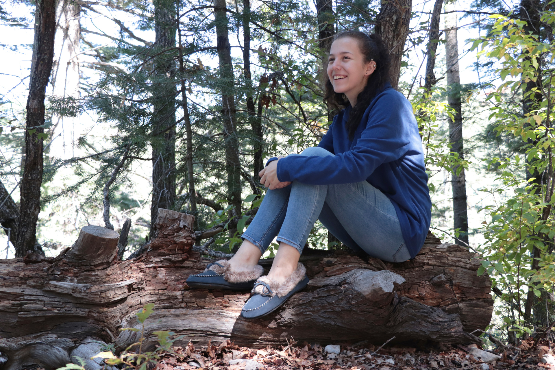 Spring in Nature example photo