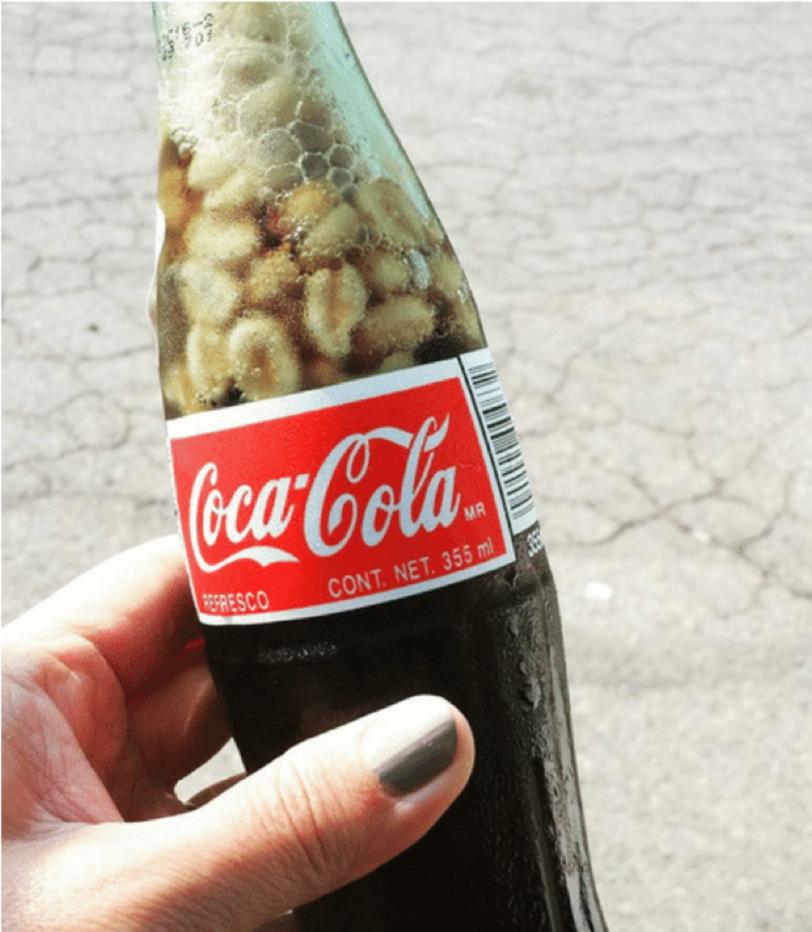 Shell Standout Snacks example photo