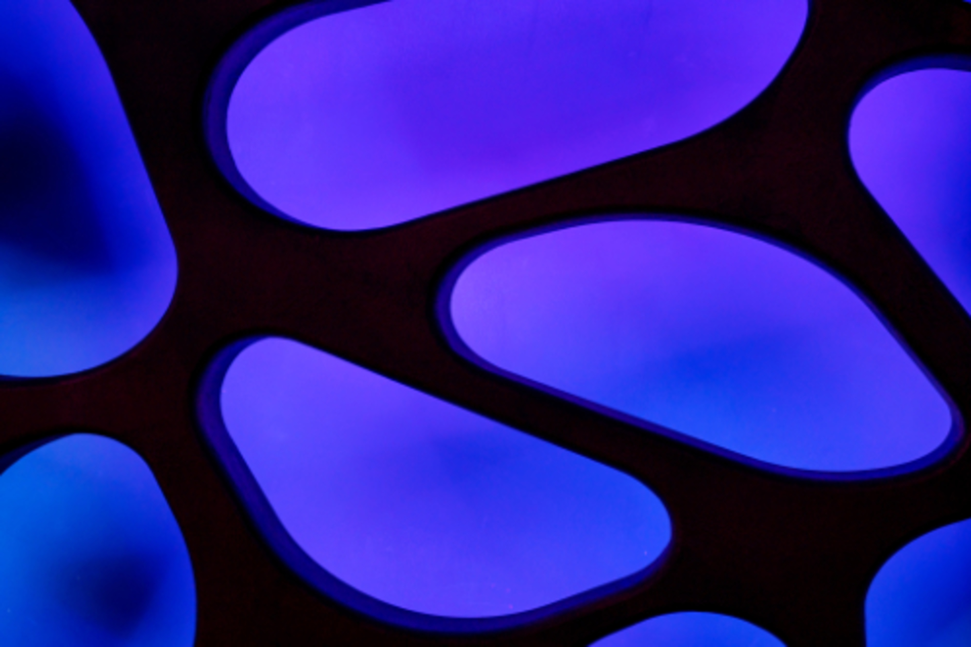 🏆 Photo of the Year: Macros & Abstract example photo