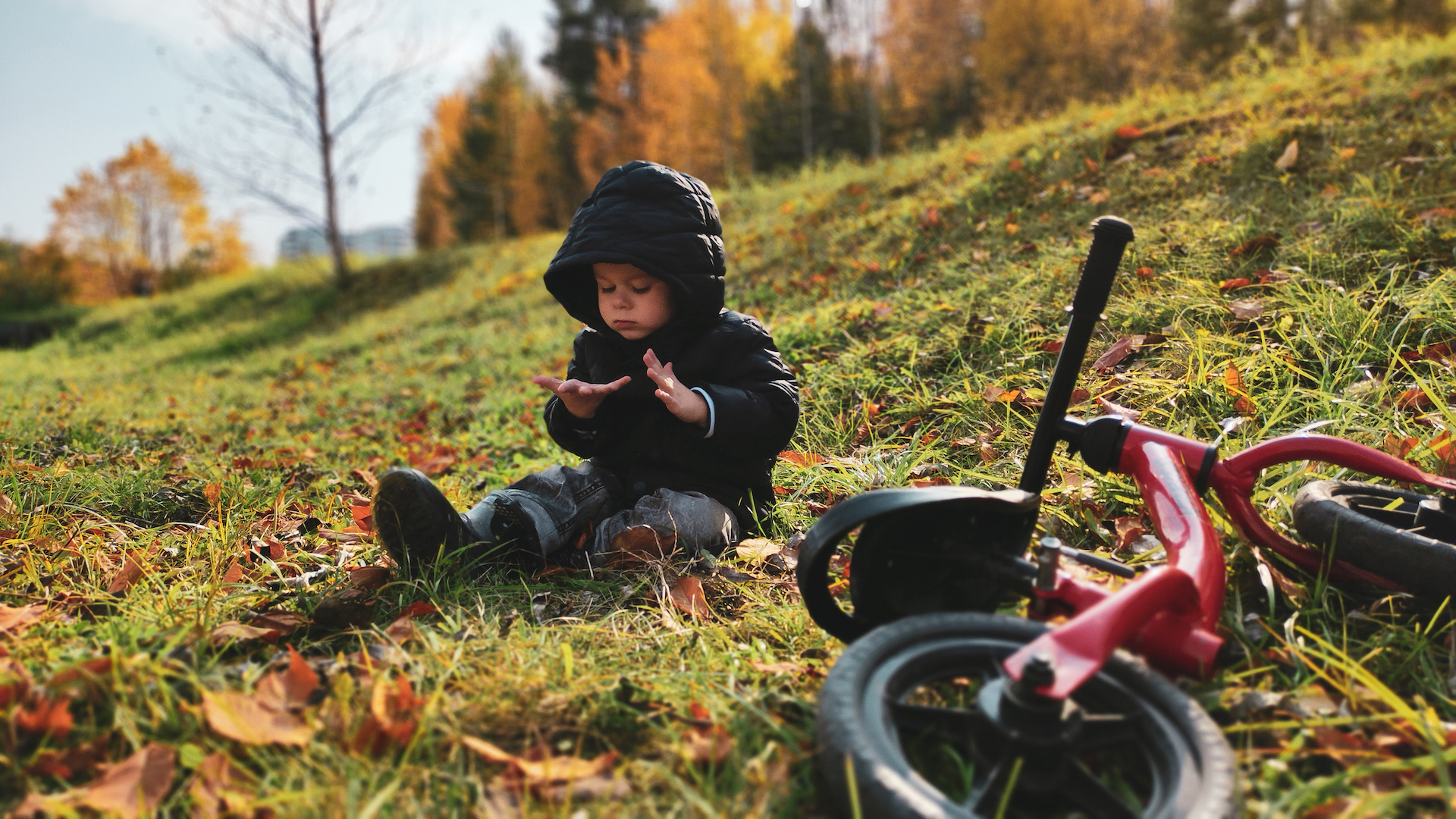 Cycling week: Kids riding on bicycles example photo