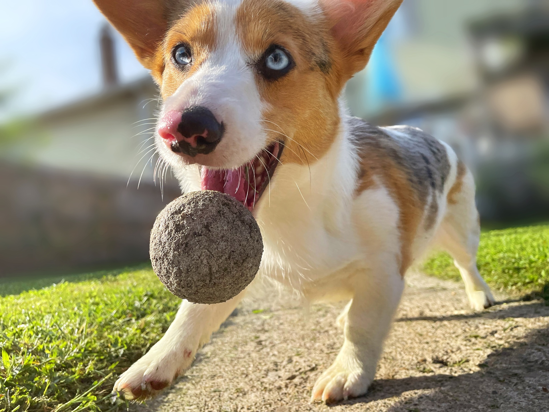 Geometry Series: Circle example photo