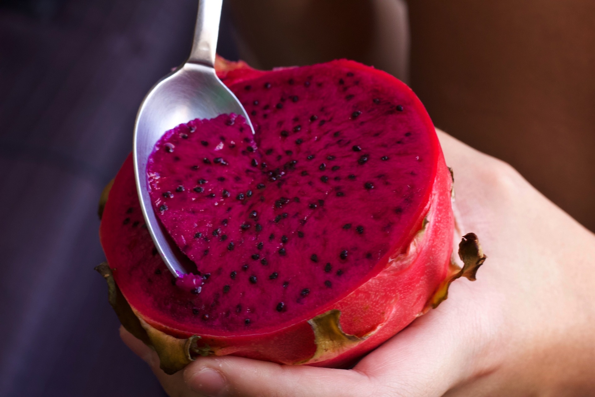 Fruity Fun example photo