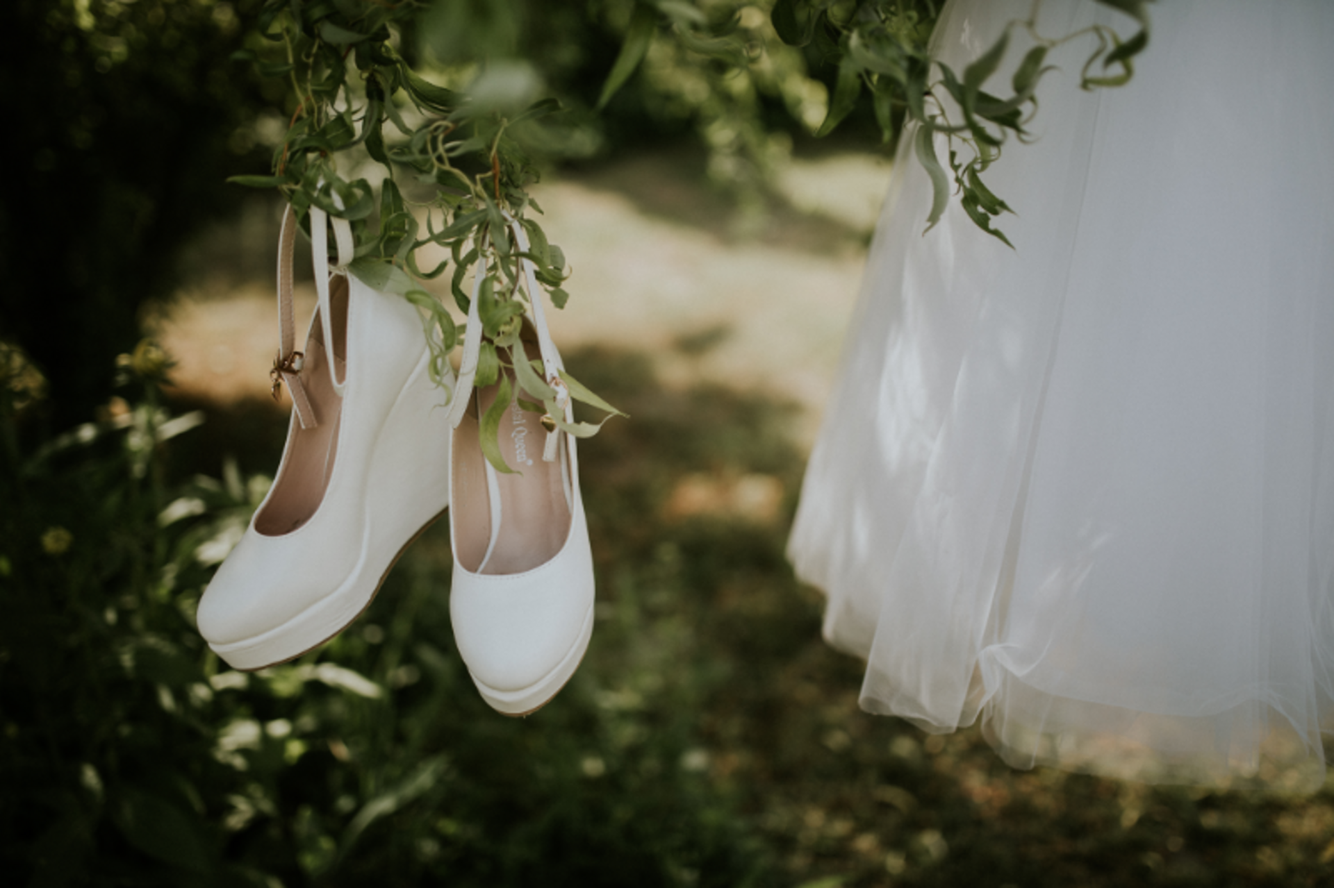 Wedding Season 💍💐🕊️💝 example photo