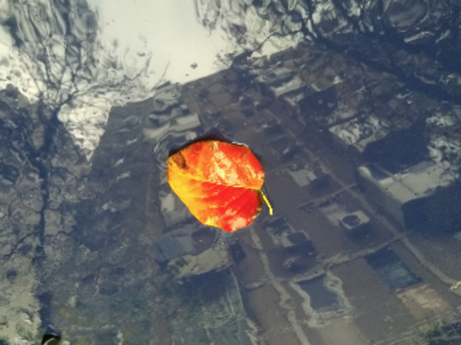 Emotions Series: Sadness example photo