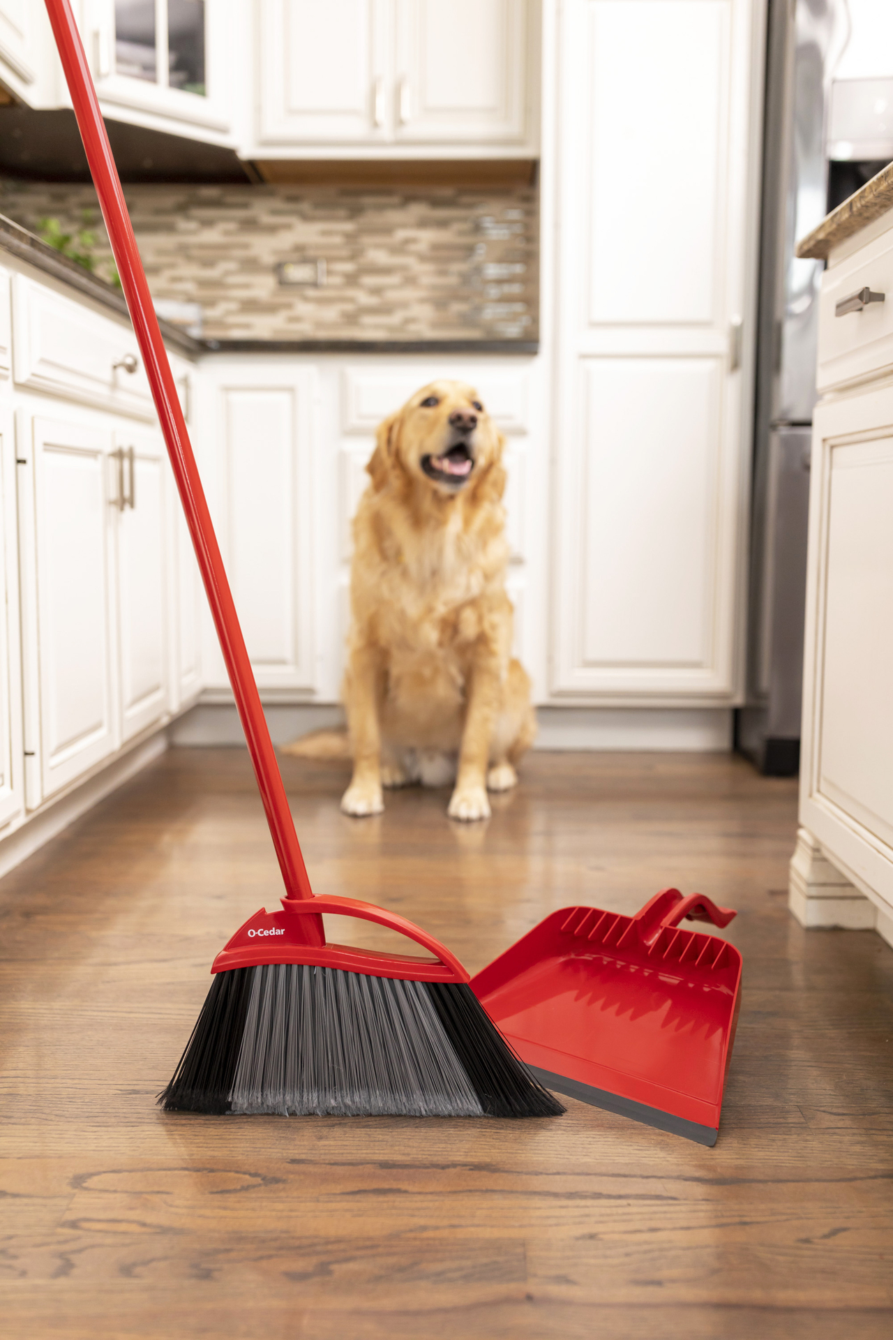 PetPro Broom & Dustpan example photo