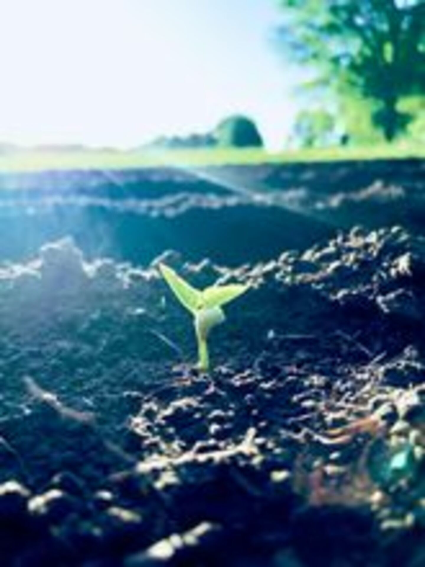 Battle: Summer vs. Spring example photo