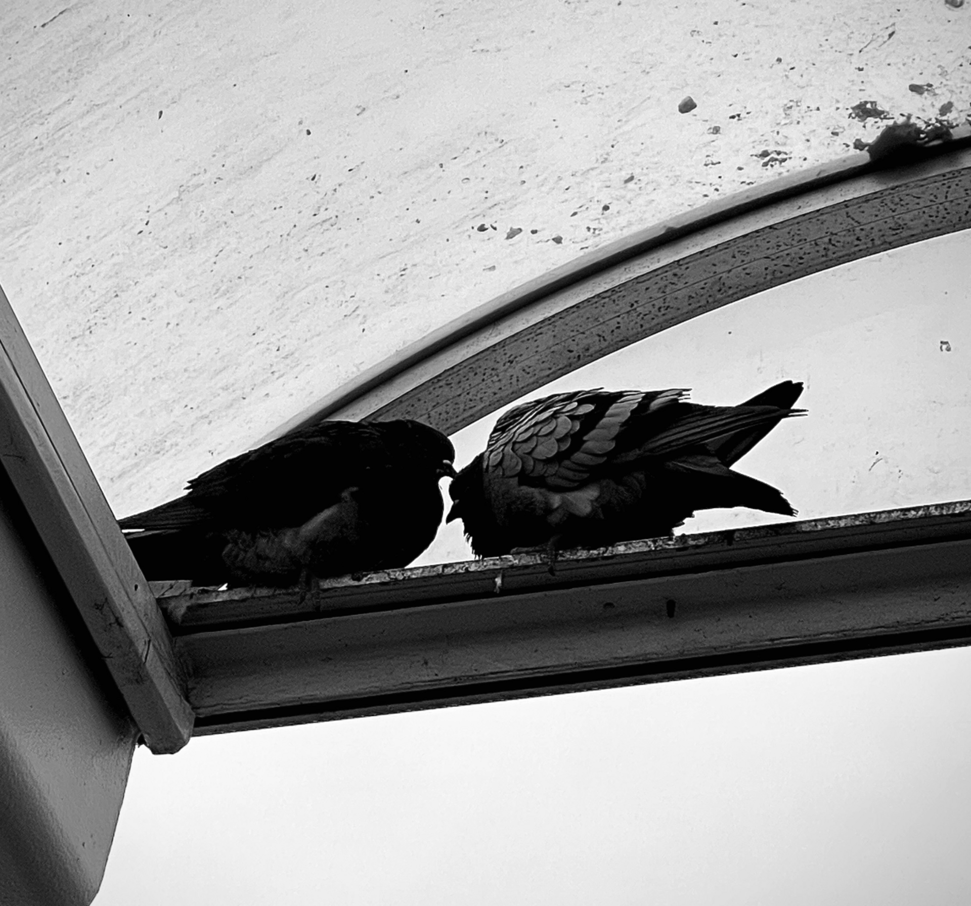 ⏰ Quick Mission: Animals Spotted on a Walk example photo