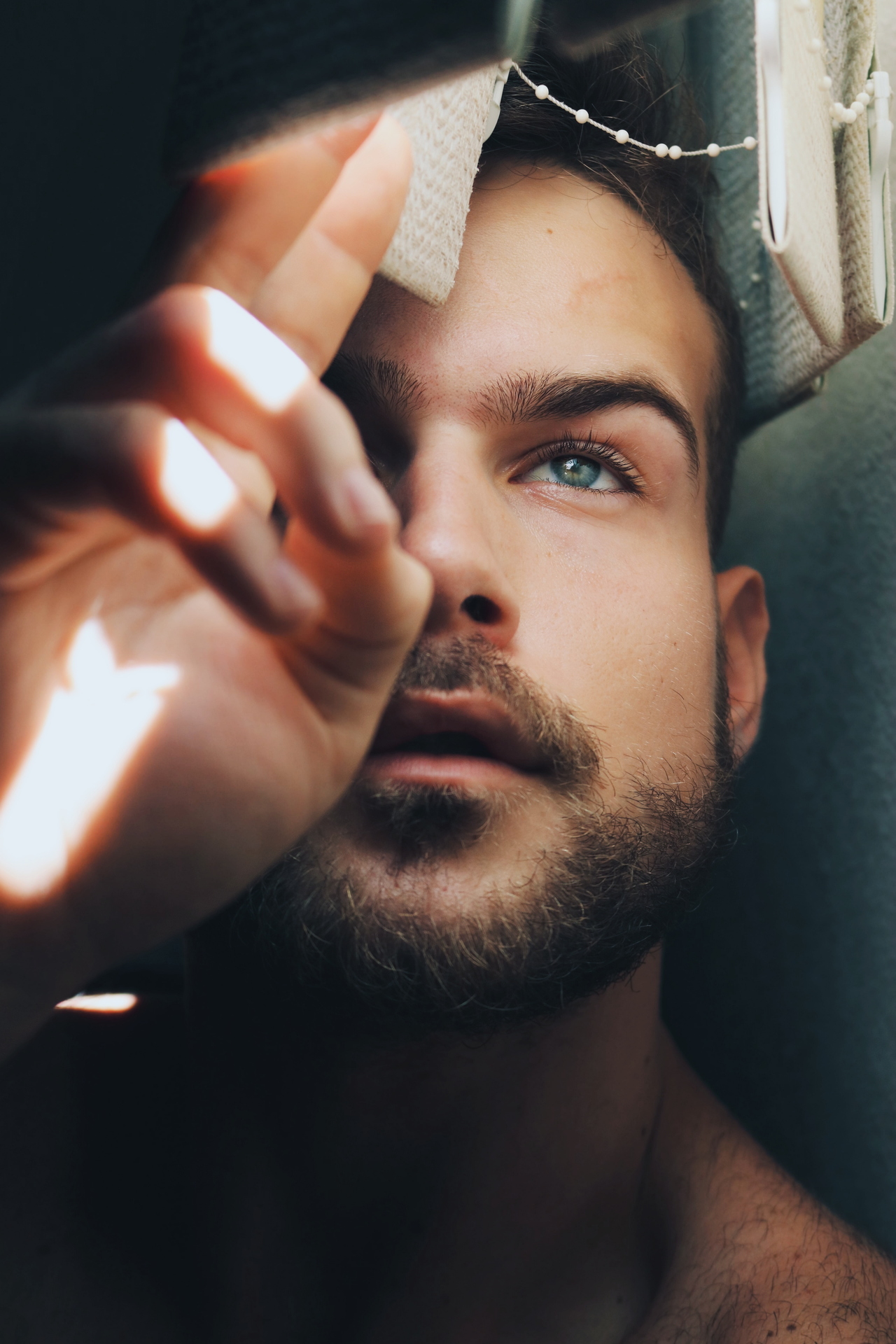 Editors' Choice:  Photo of the Week example photo