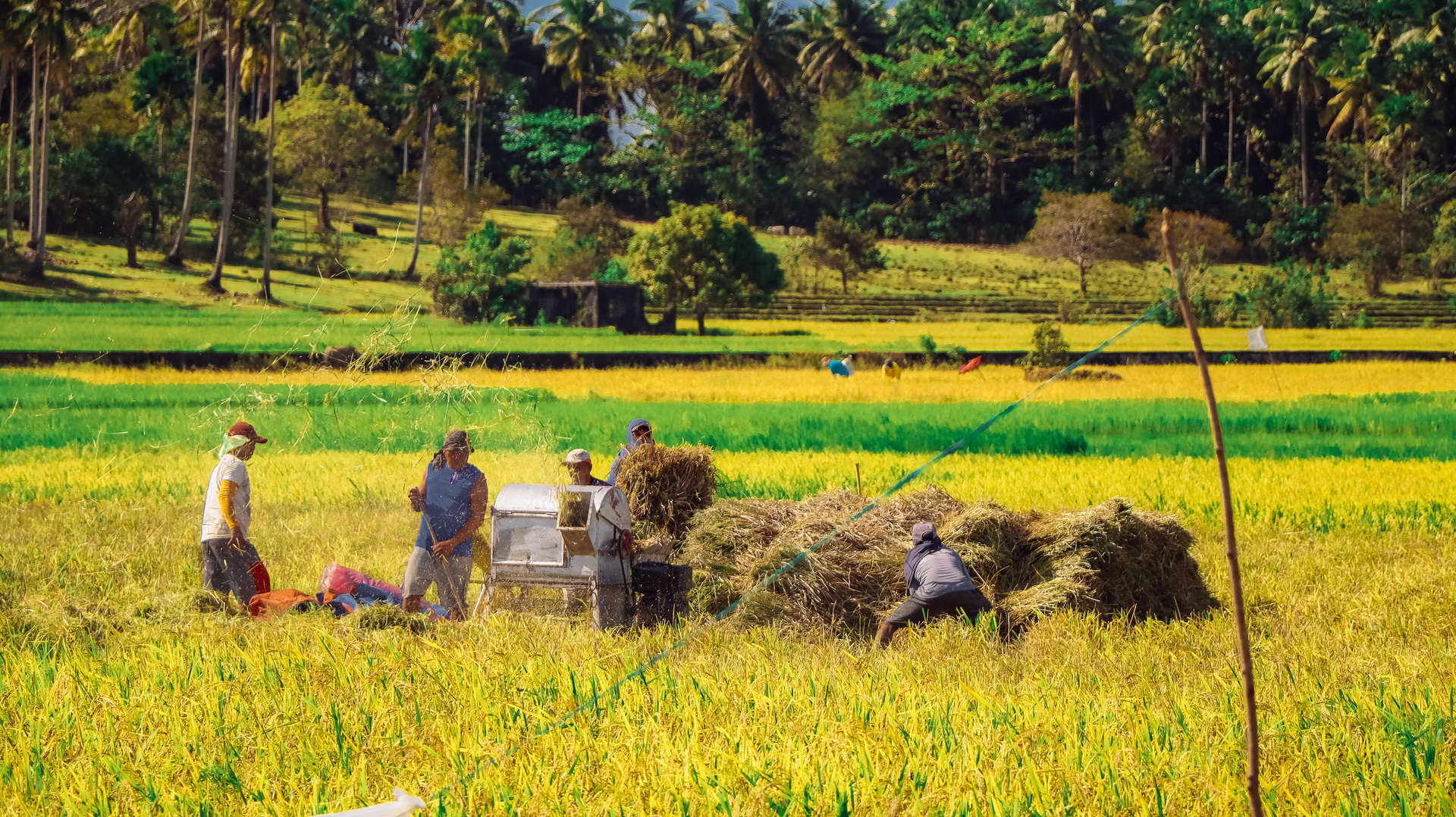 Upload Photo of the Week            example photo