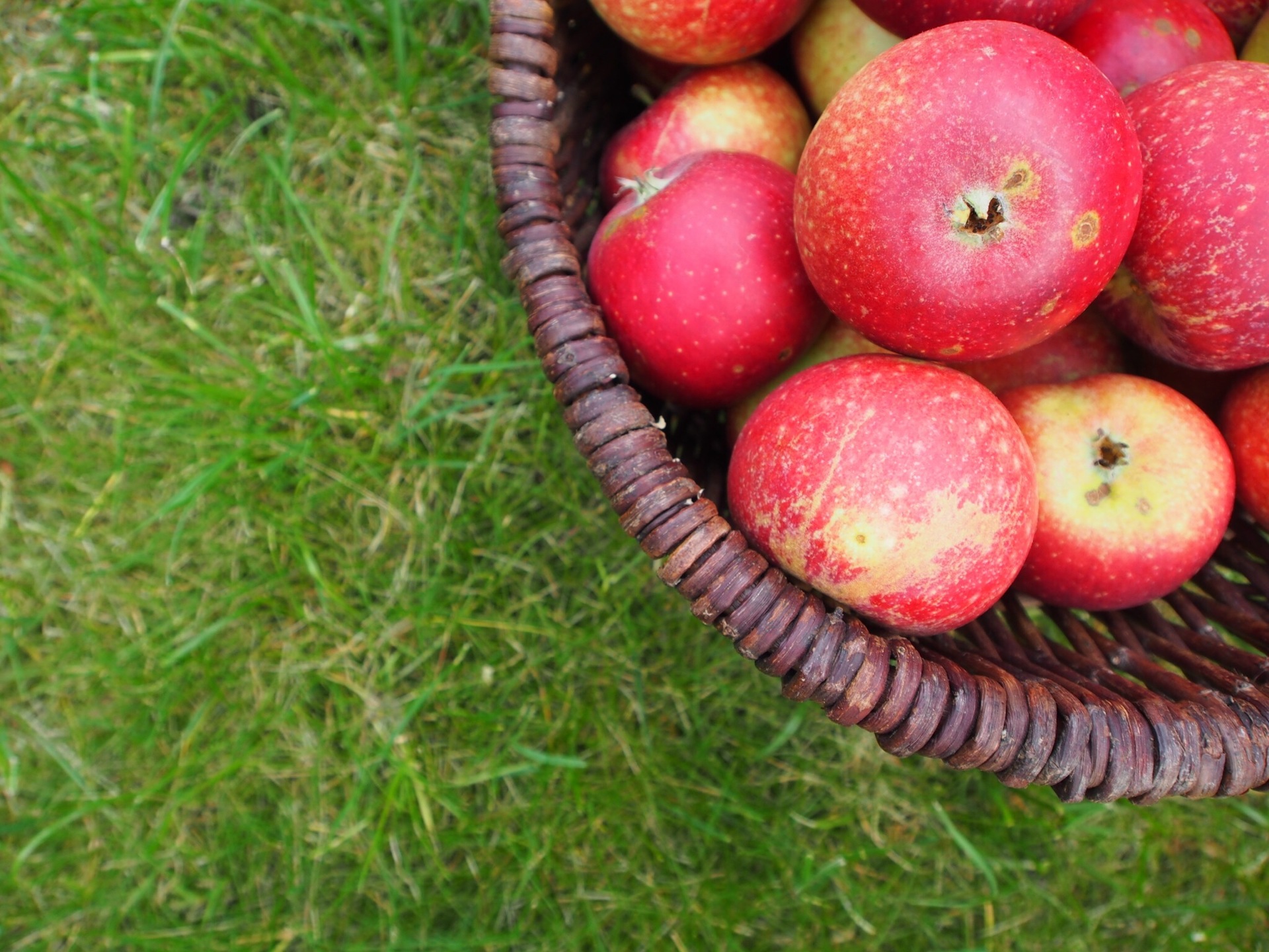 One apple a day, keeps the doctor away example photo