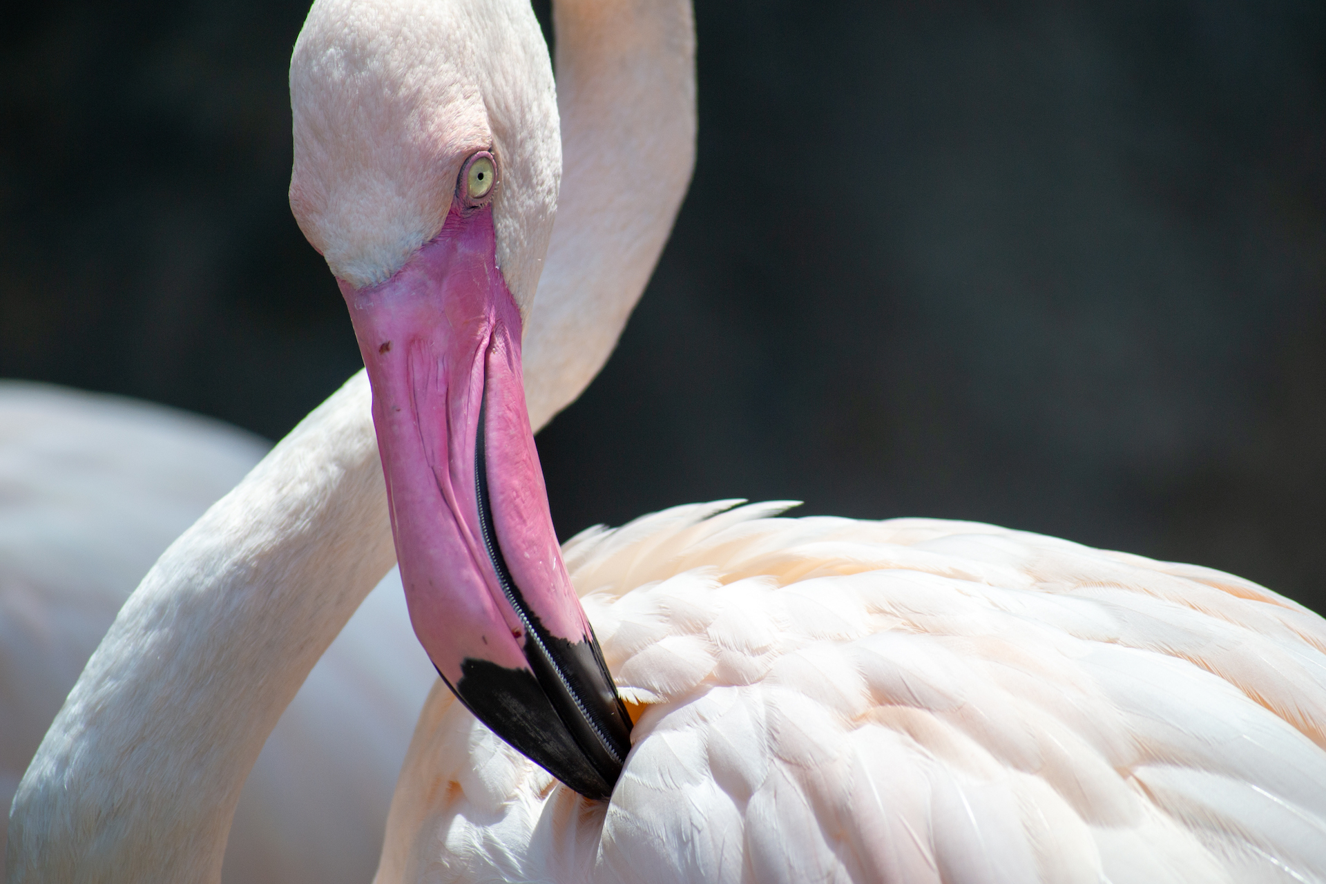 Editors' Choice: Photo of the Week   example photo