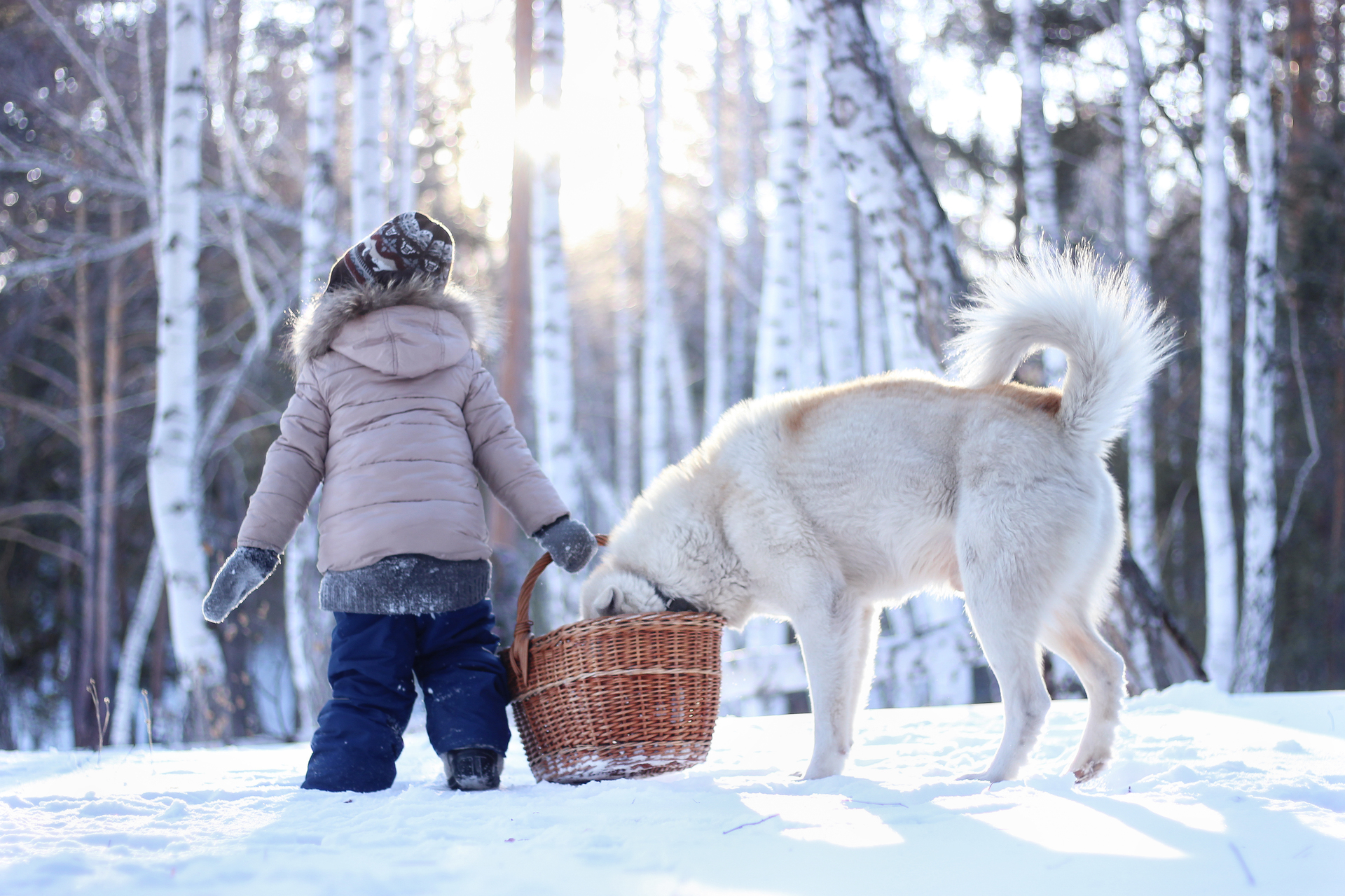 Editors' Choice - Photo of the Week                example photo