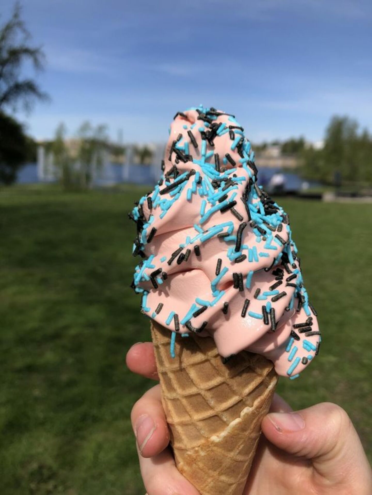 ⏰Quick Mission: What do you see? (Everybody Wins) example photo