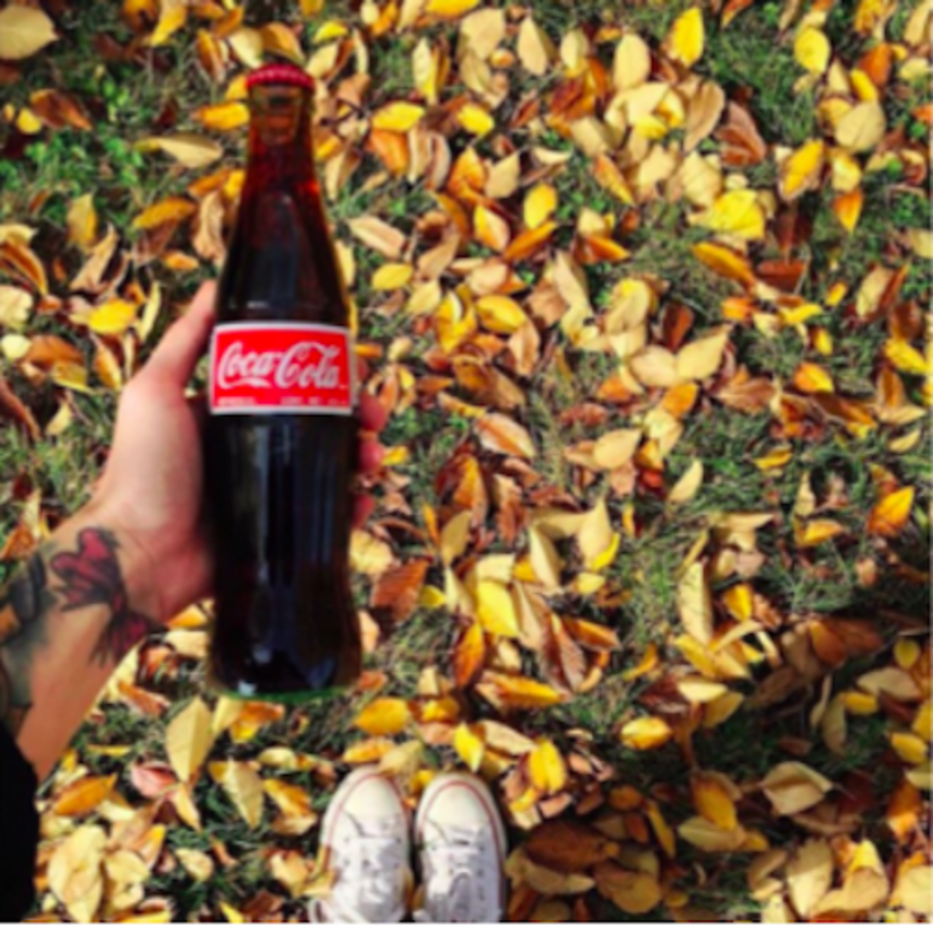 Coca-Cola in the Fall example photo