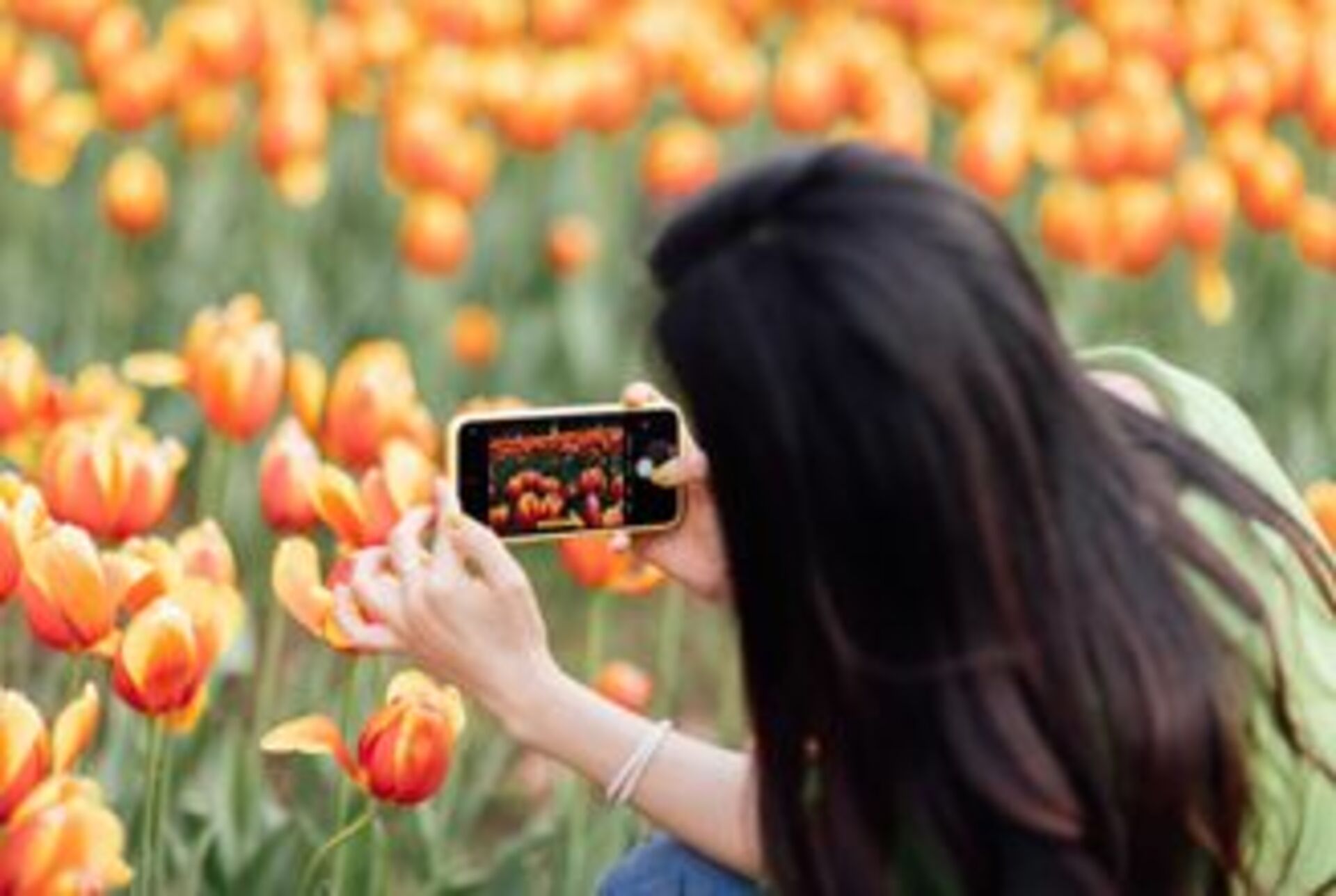 Battle: Winter vs. Spring example photo