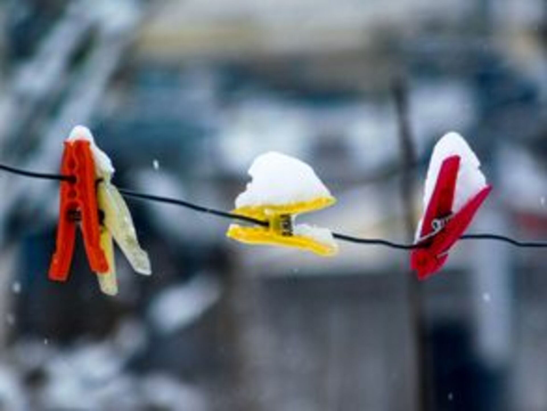 Battle: Winter vs. Spring    example photo