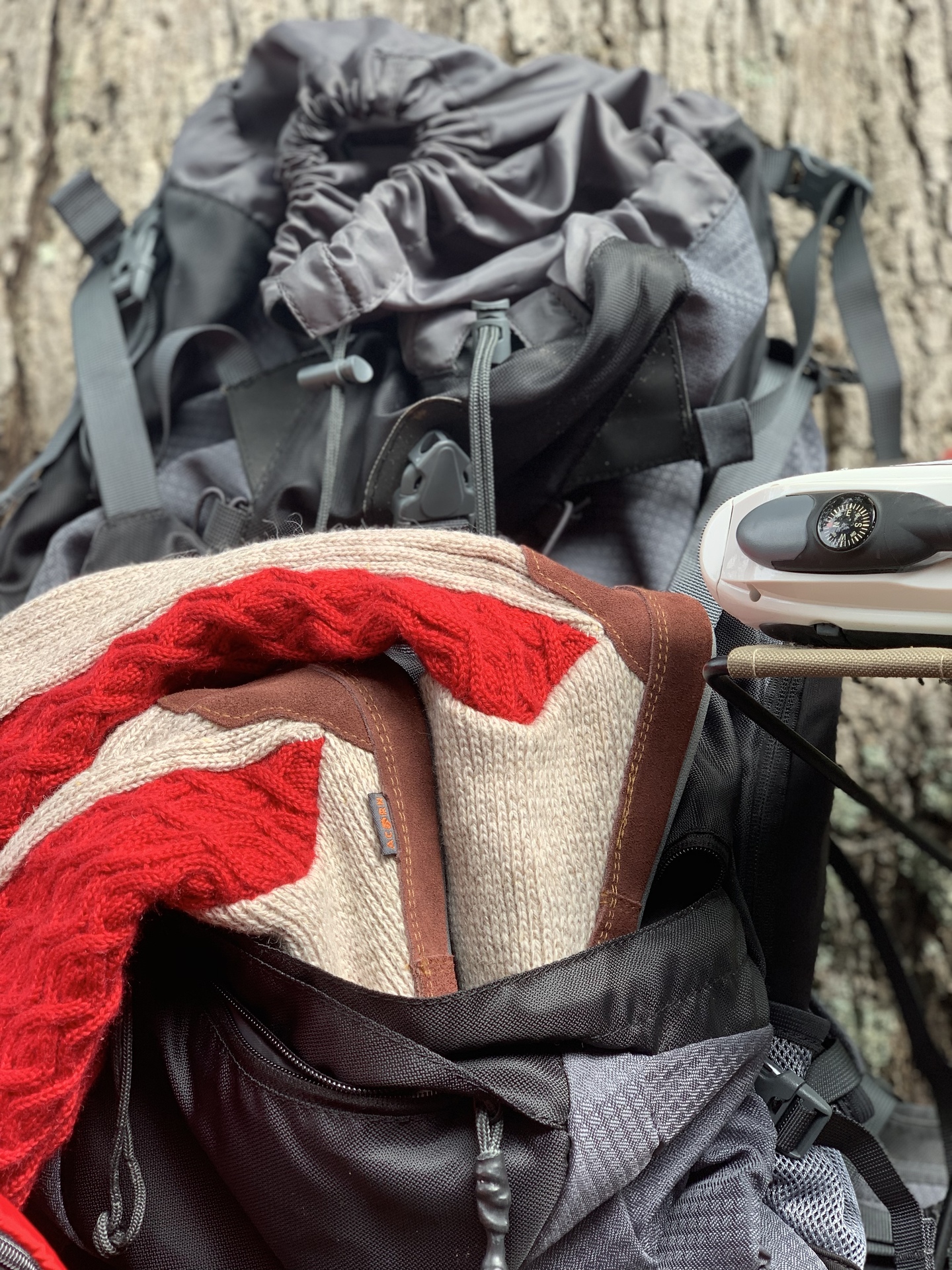 Spring in Nature example photo