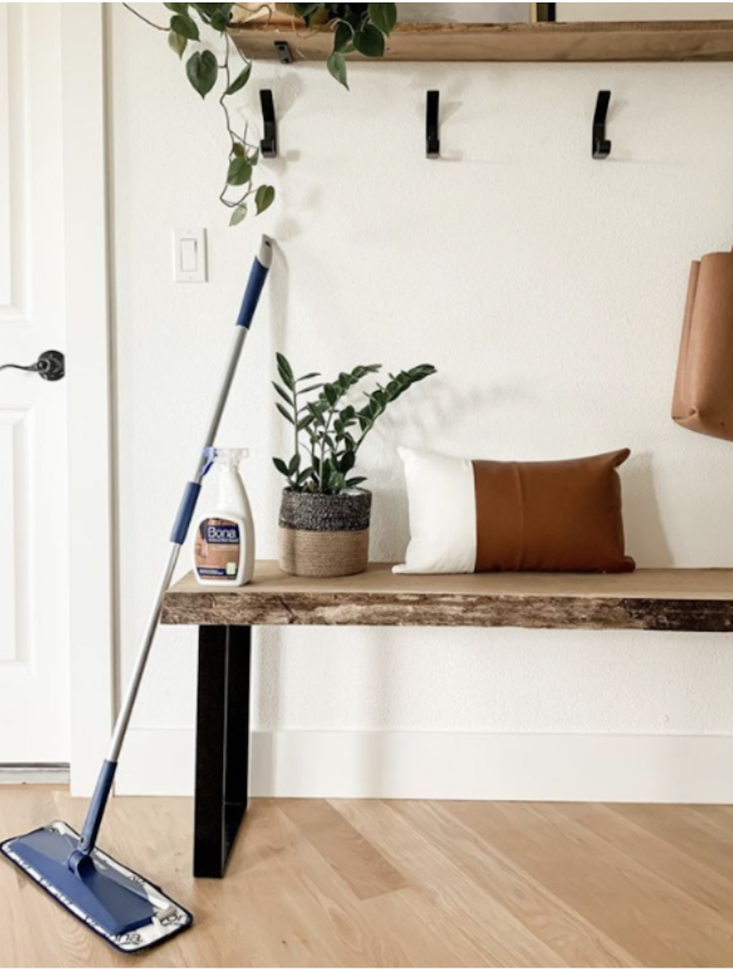 PetPro Broom & Dustpan example photo