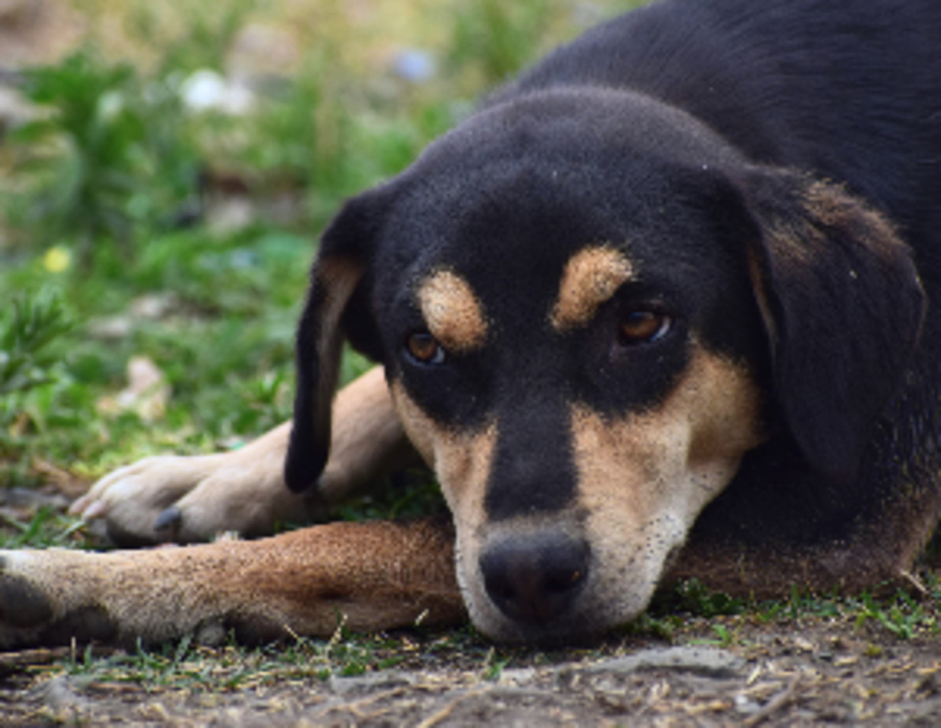 Emotions Series: Sadness example photo