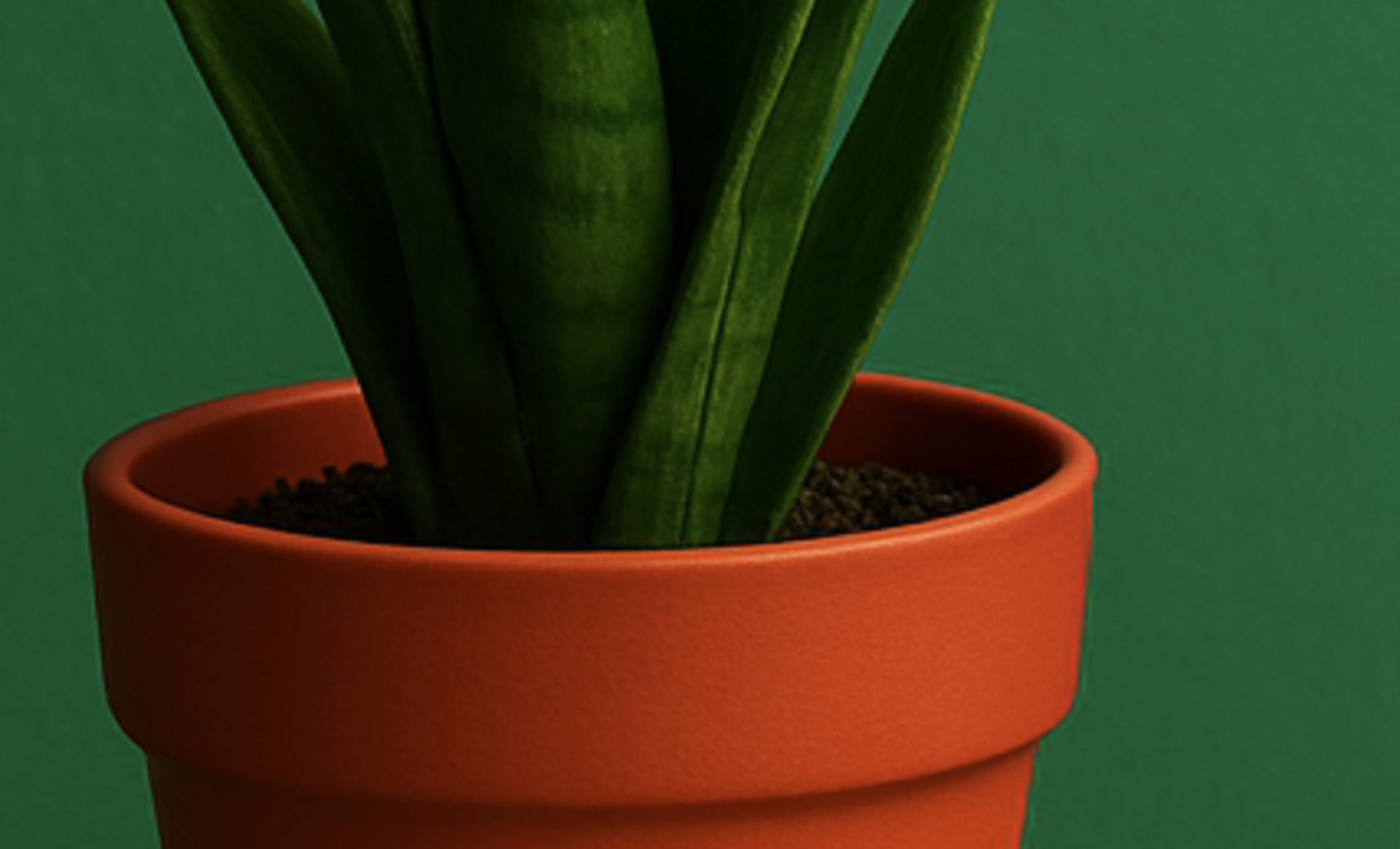 📸 Capture the Power of Complementary Colors example photo