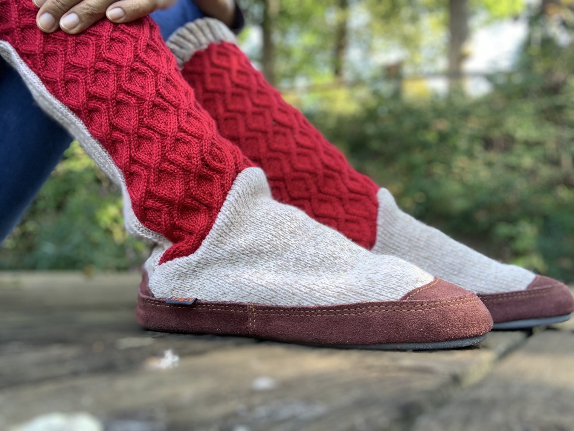 Spring in Nature example photo