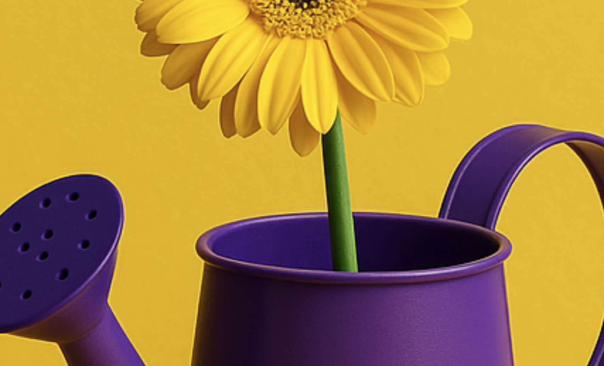 📸 Capture the Power of Complementary Colors example photo