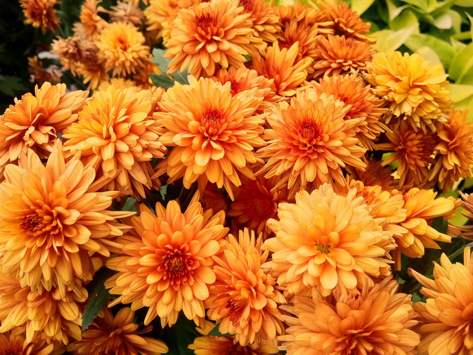 Colors of Spring example photo