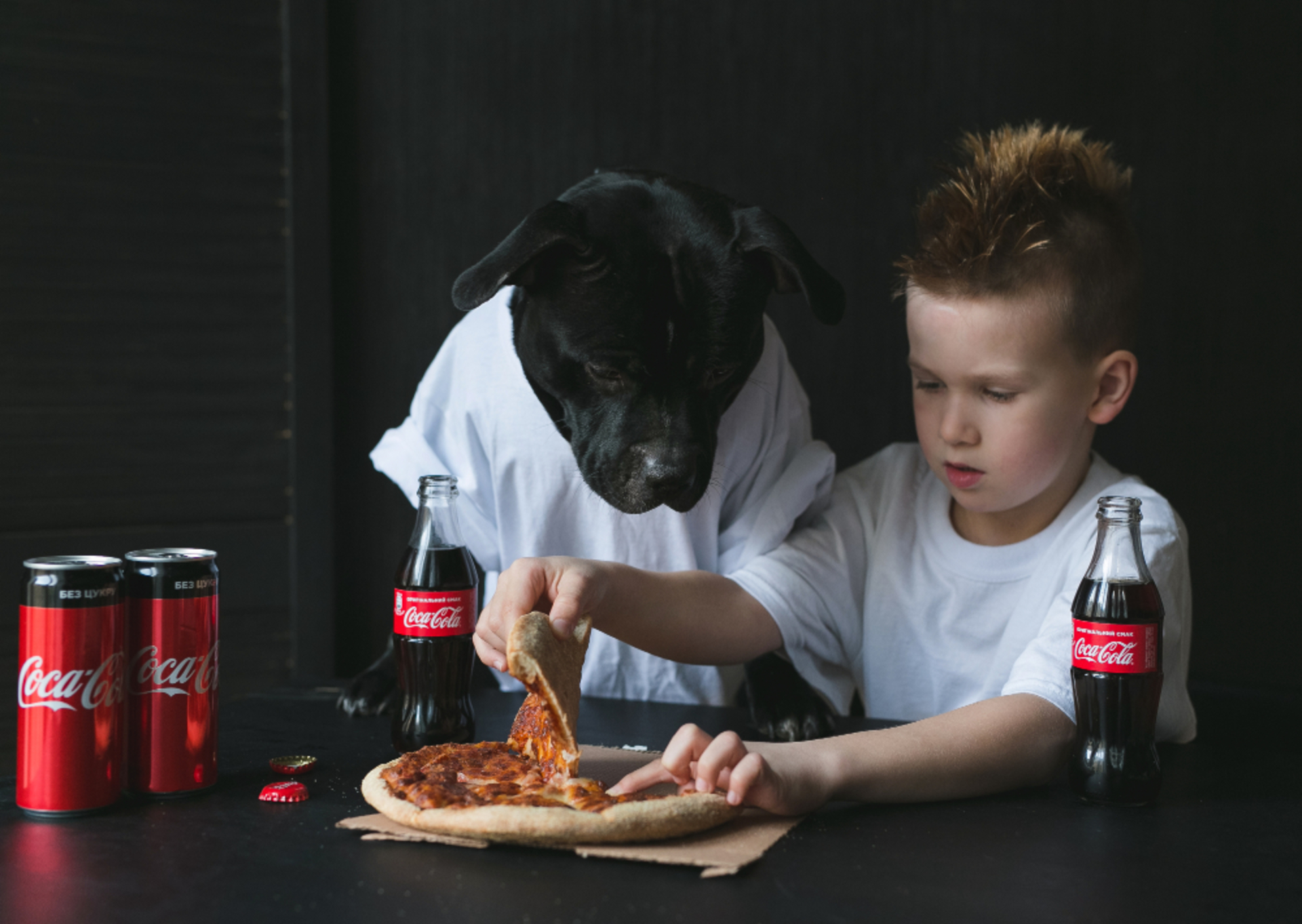 A Dog and its Food 🐶 example photo