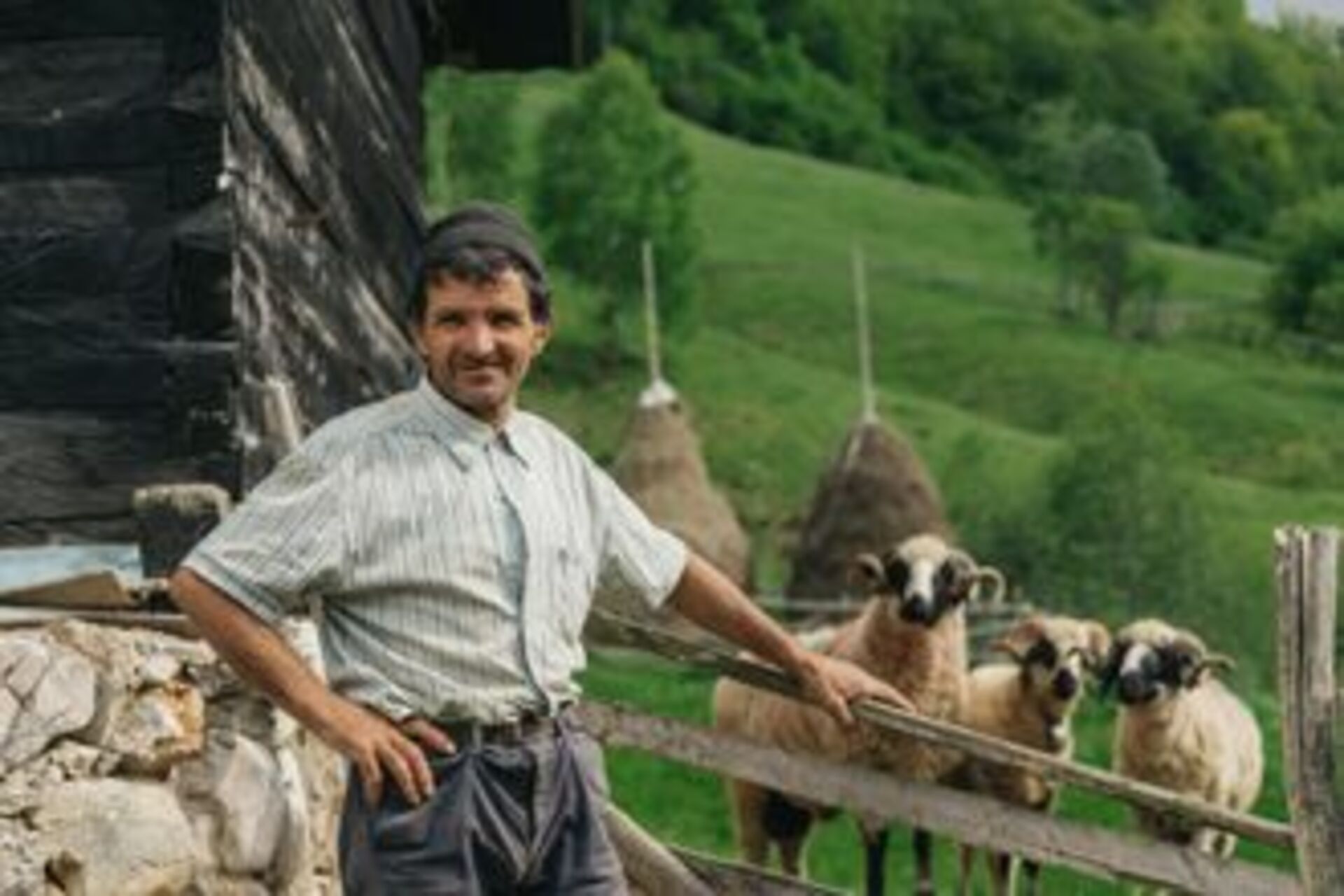 Battle: Winter vs. Spring example photo