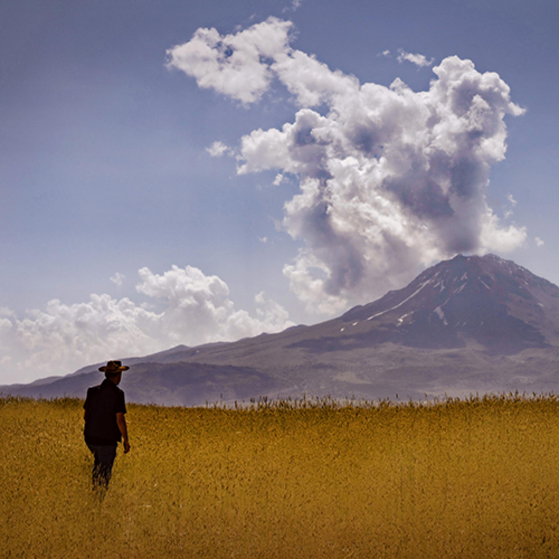 Mobile Series: Landscape example photo