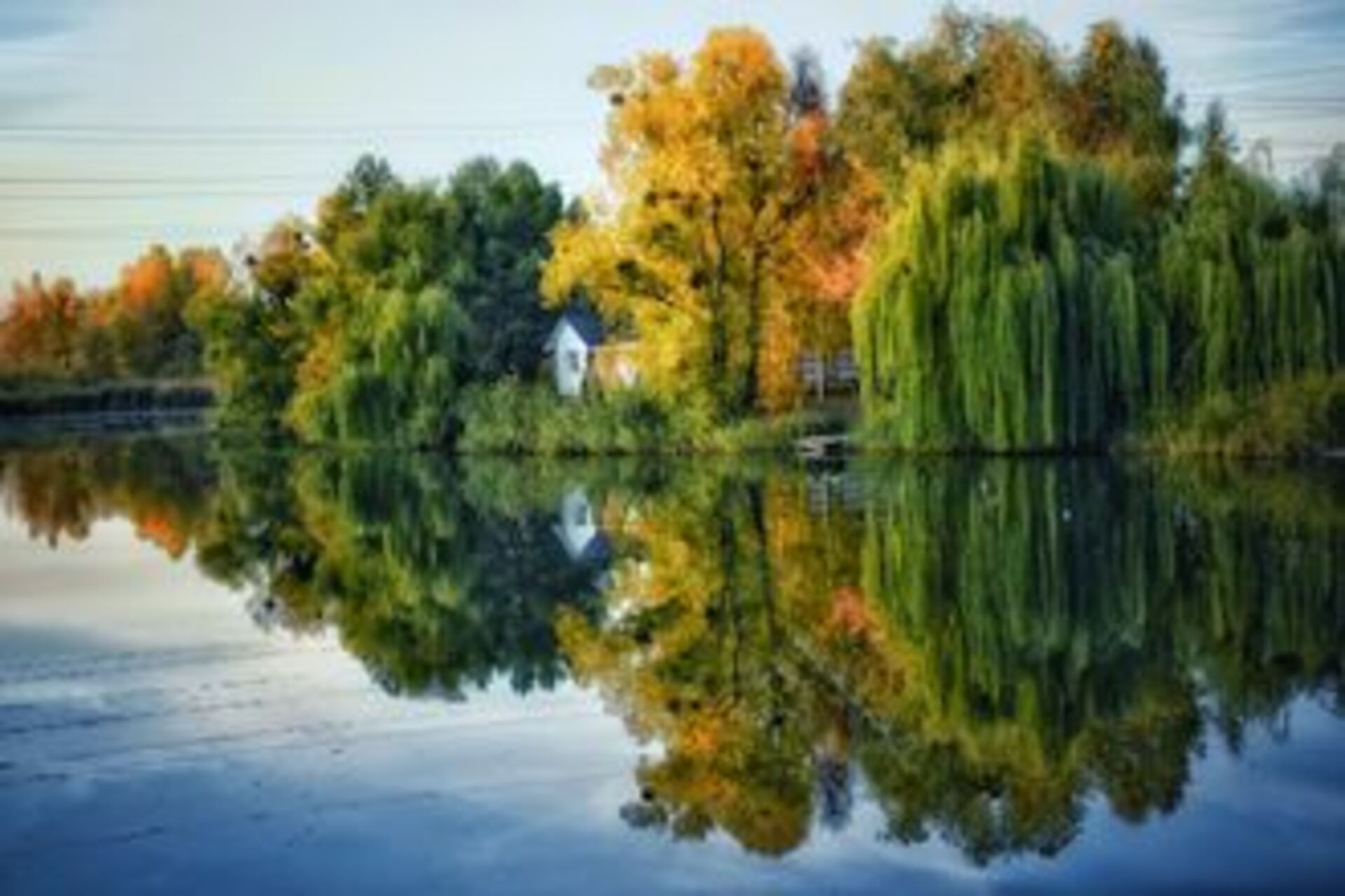 Urban Nature: Water example photo