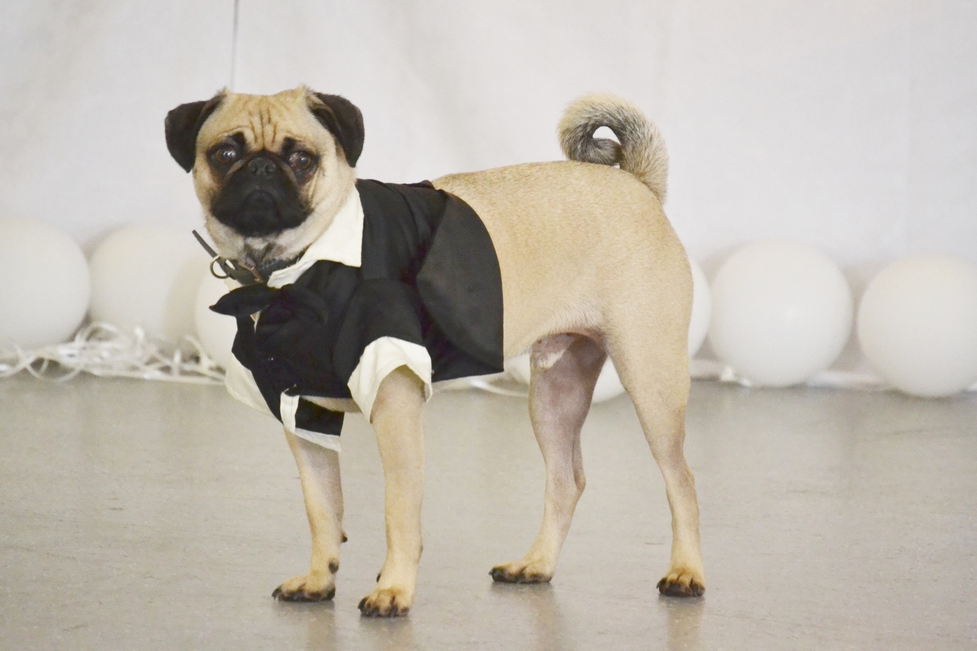 Attending weddings example photo