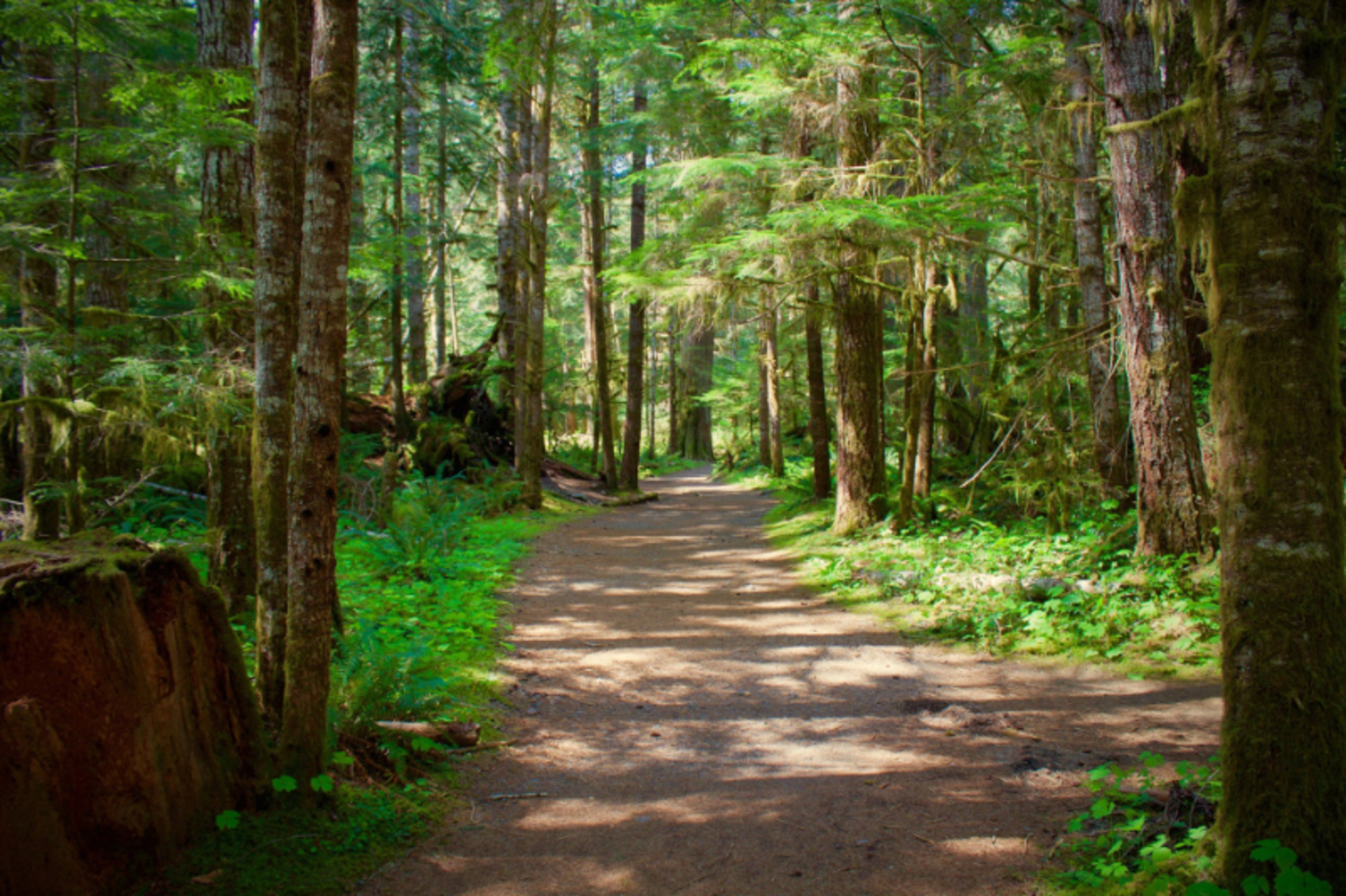 Be authentic: Let's go on a hike example photo