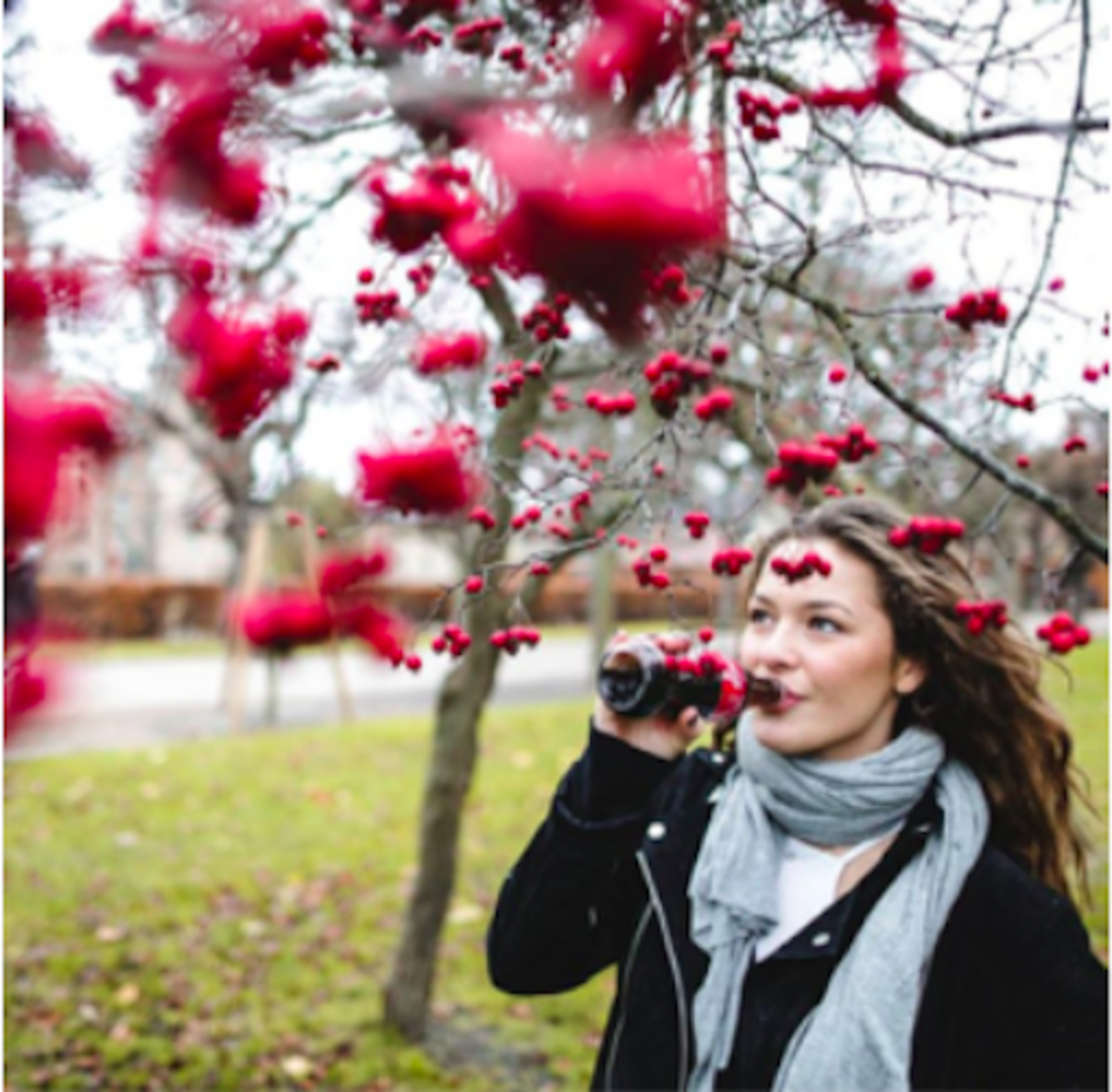Coca-Cola in the Fall example photo